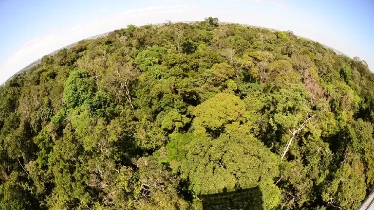 No Dia da Amazônia, saiba como o turismo de base comunitária vem